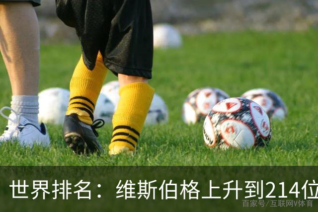 世界排名：维斯伯格上升到214位 米泽莲233位